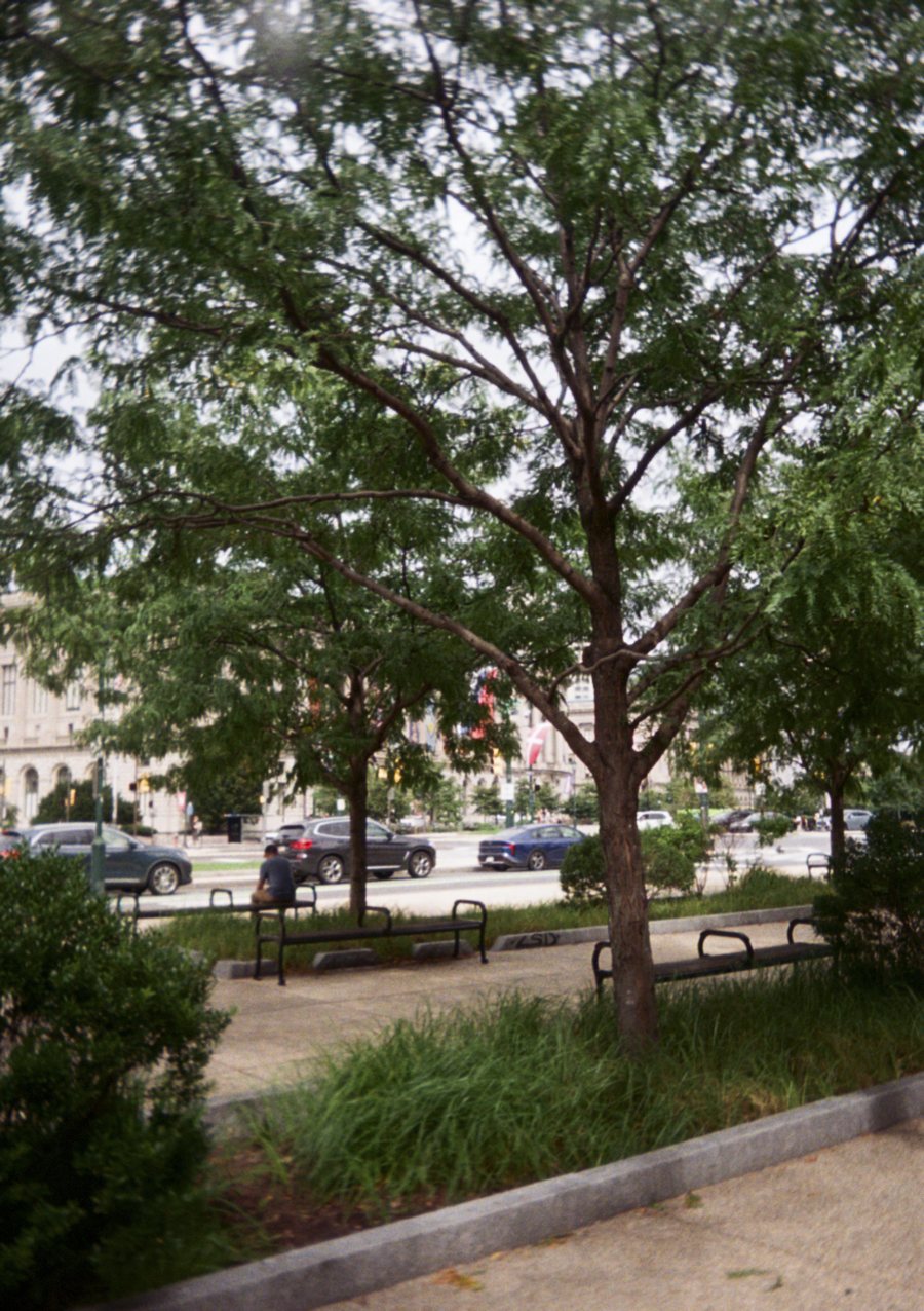 Photograph, August 2026